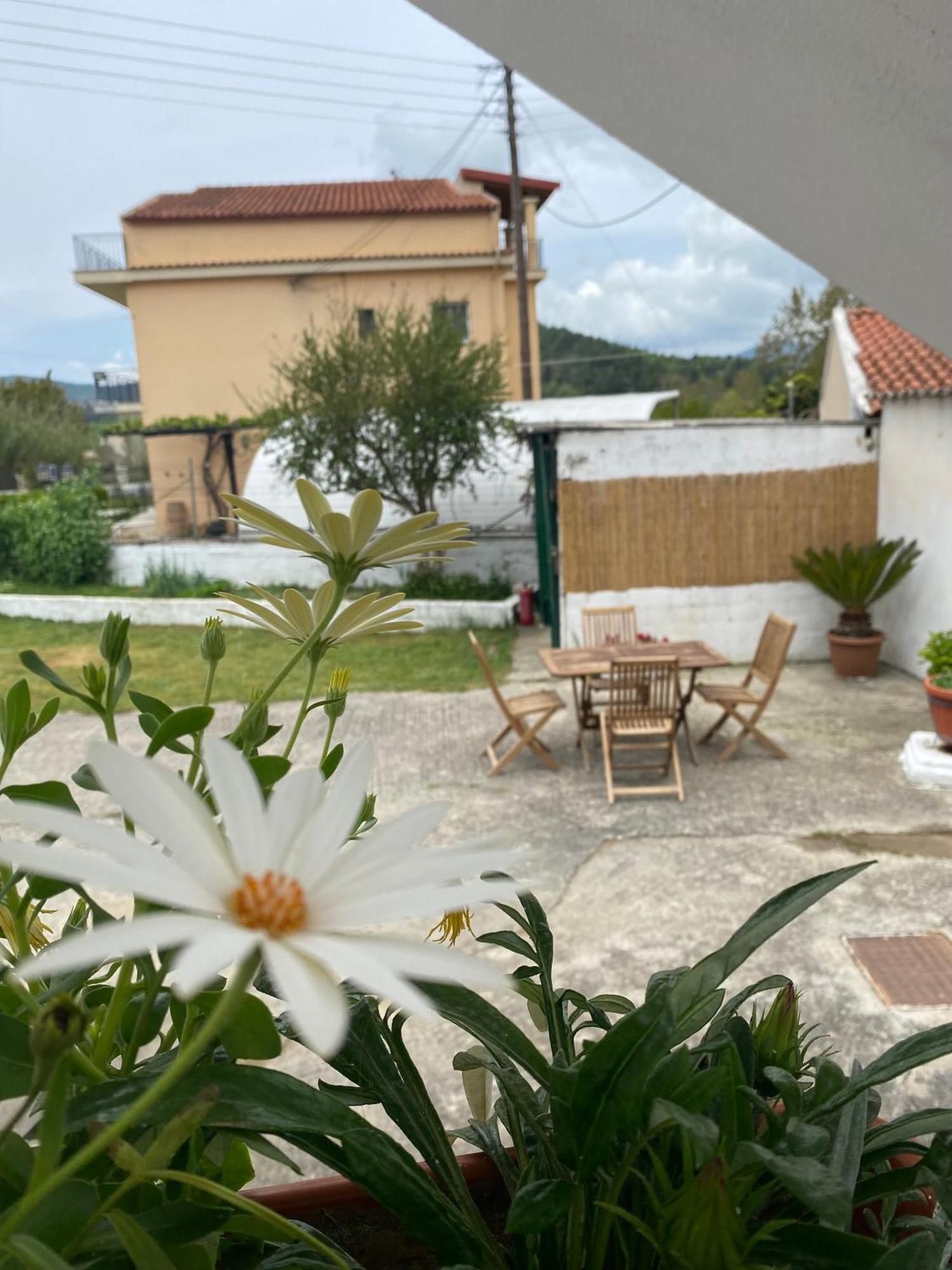 Navy Apartment With Mountain View &Private Parking Vatos Bagian luar foto